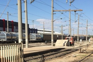 423 - Malatya - Senem