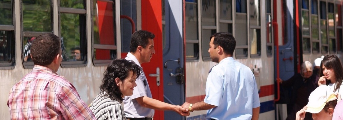 495 - Ankara Polatlı treni - Steve