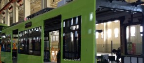 532 - Durmaray - Onur