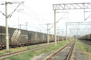 547 - Omfesa swapbodies at Kapikule - Onur