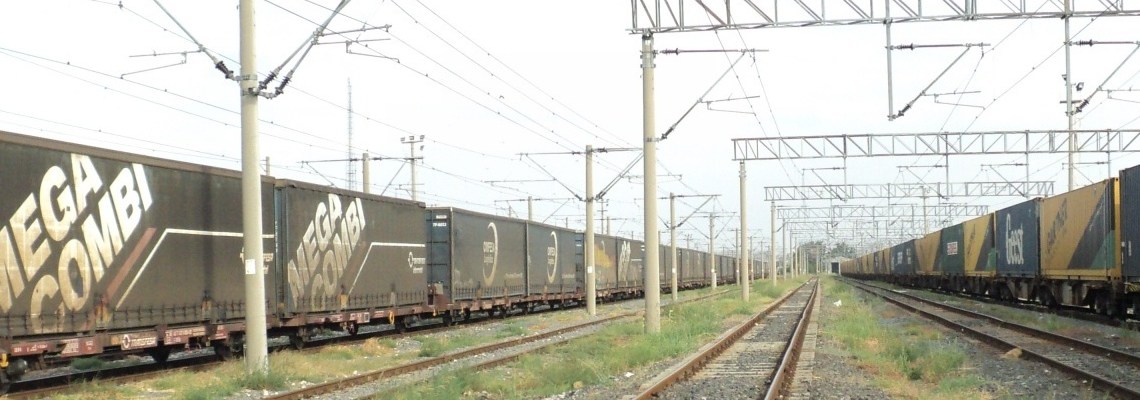 547 - Omfesa swapbodies at Kapikule - Onur