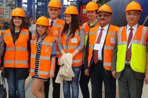 558 - Multimodal 2016 - Viva Consult